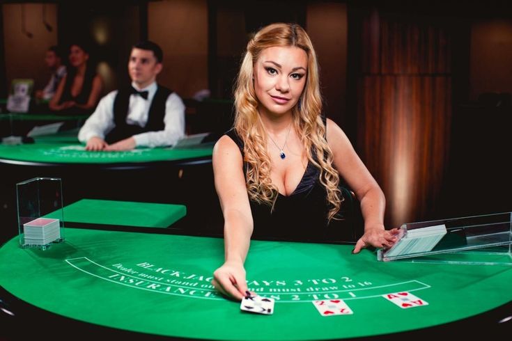 TOTO88 Live Casino